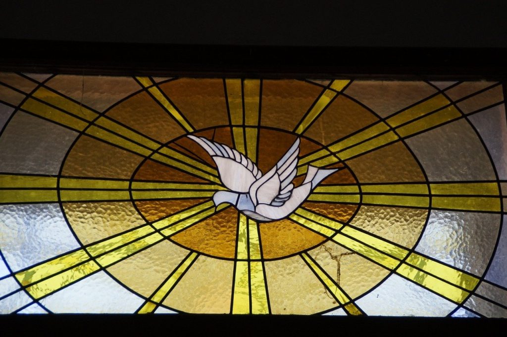 holy spirit, dove, window